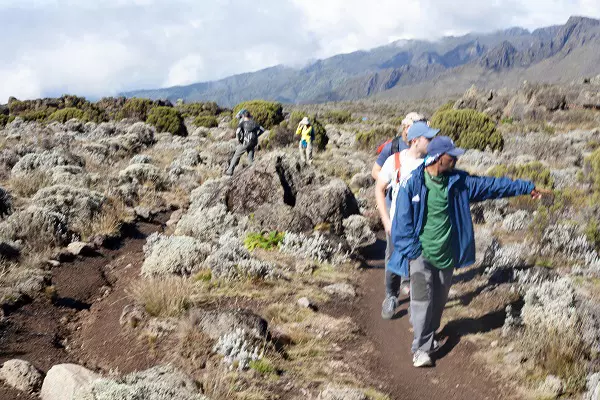 A scenic trail during the 9-day Lemosho route luxury Kilimanjaro climbing tour