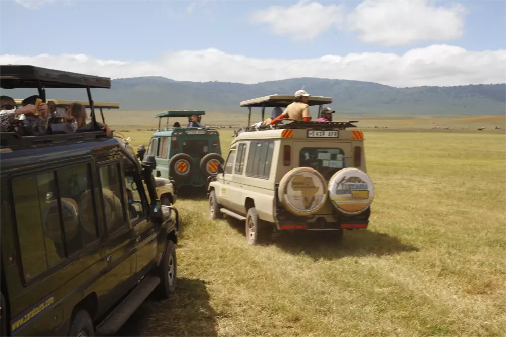 Kilimanjaro , Tanzania safari and Zanzibar tour package